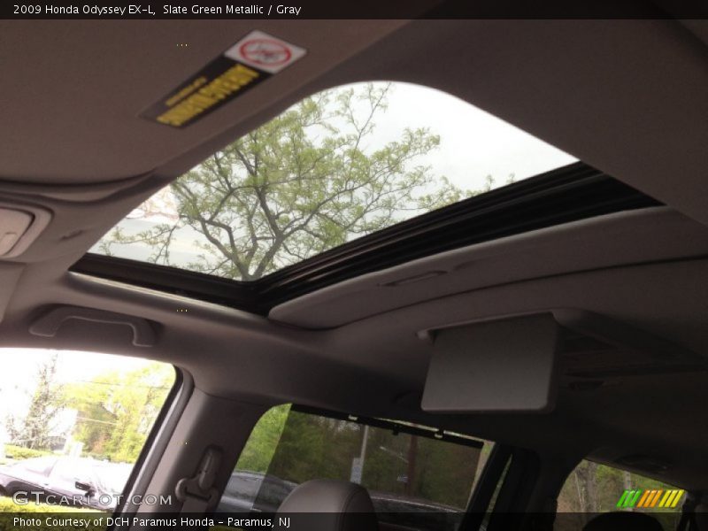 Slate Green Metallic / Gray 2009 Honda Odyssey EX-L