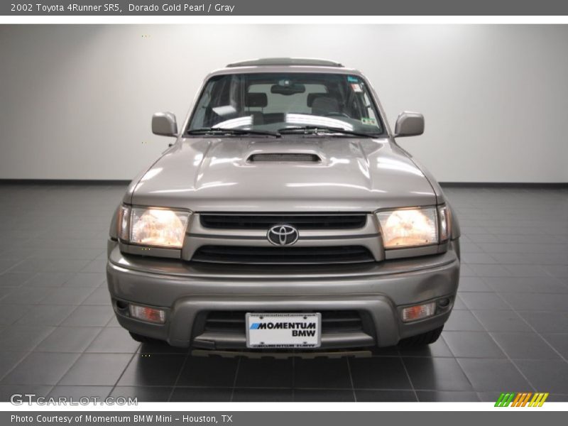 Dorado Gold Pearl / Gray 2002 Toyota 4Runner SR5