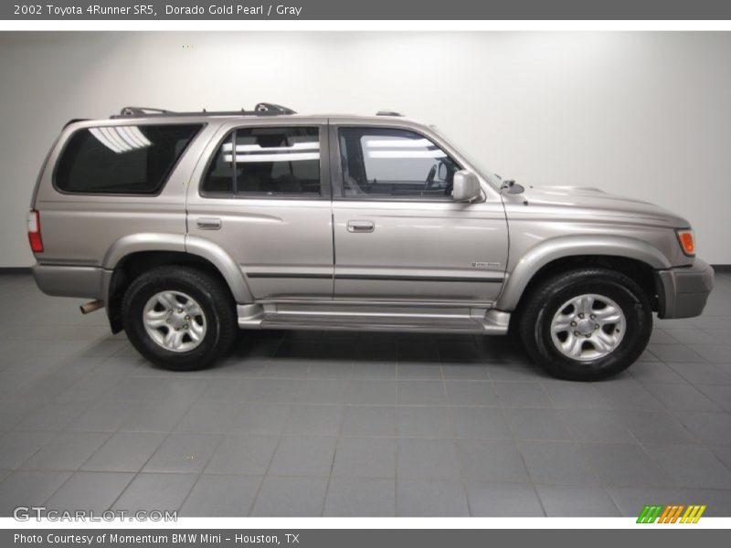 Dorado Gold Pearl / Gray 2002 Toyota 4Runner SR5