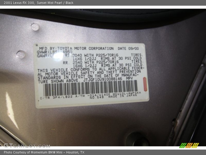 Sunset Mist Pearl / Black 2001 Lexus RX 300