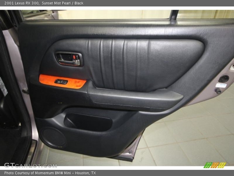 Sunset Mist Pearl / Black 2001 Lexus RX 300