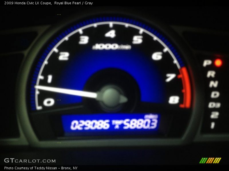 Royal Blue Pearl / Gray 2009 Honda Civic LX Coupe