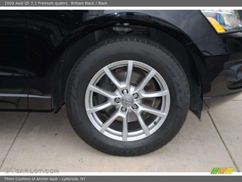 Brilliant Black / Black 2009 Audi Q5 3.2 Premium quattro