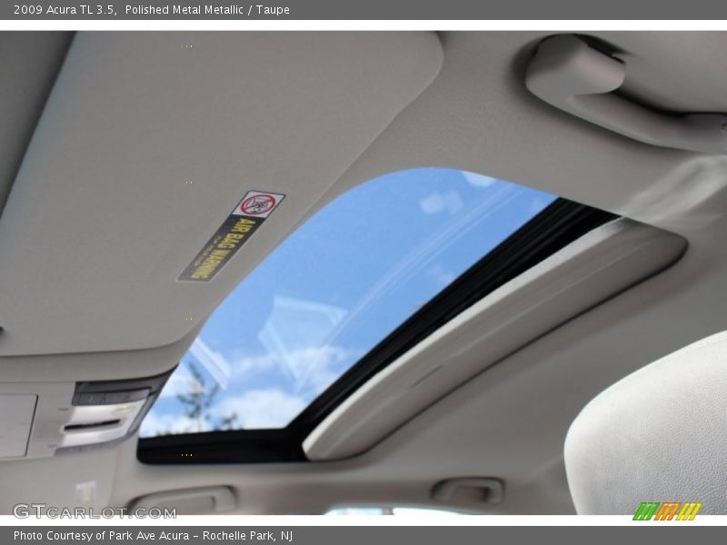 Polished Metal Metallic / Taupe 2009 Acura TL 3.5