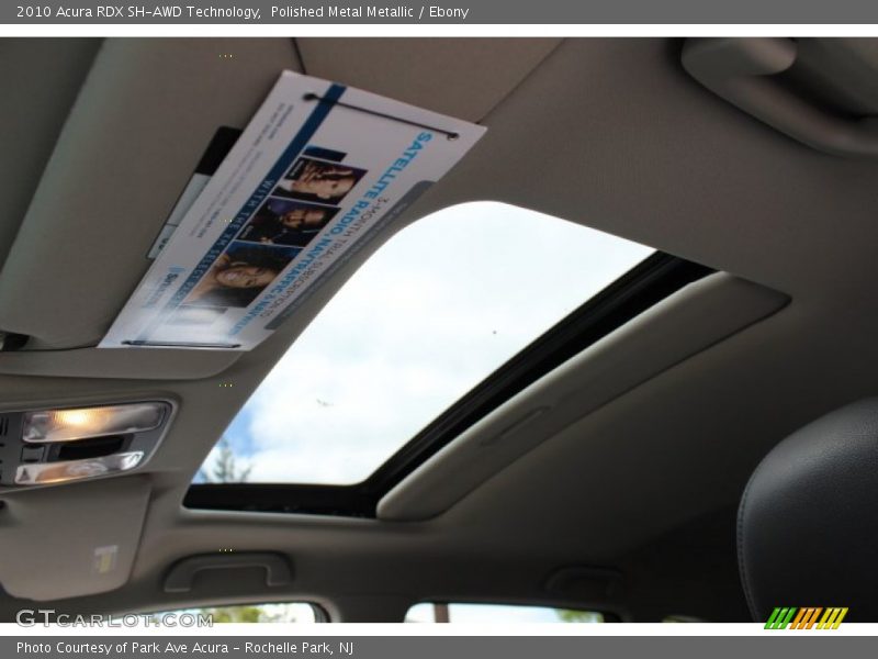 Polished Metal Metallic / Ebony 2010 Acura RDX SH-AWD Technology