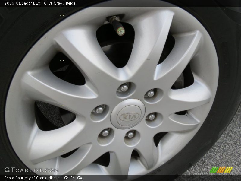 Olive Gray / Beige 2006 Kia Sedona EX