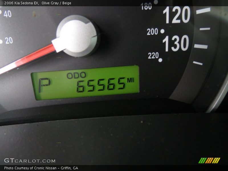 Olive Gray / Beige 2006 Kia Sedona EX