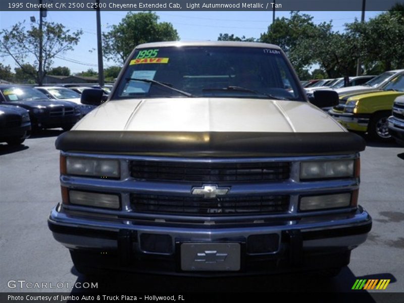 Light Autumnwood Metallic / Tan 1995 Chevrolet C/K 2500 C2500 Cheyenne Extended Cab