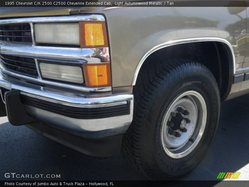Light Autumnwood Metallic / Tan 1995 Chevrolet C/K 2500 C2500 Cheyenne Extended Cab