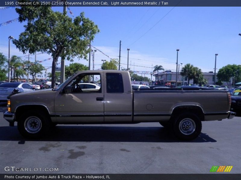 Light Autumnwood Metallic / Tan 1995 Chevrolet C/K 2500 C2500 Cheyenne Extended Cab