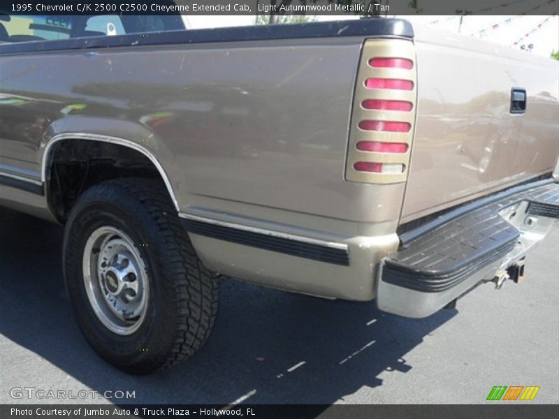Light Autumnwood Metallic / Tan 1995 Chevrolet C/K 2500 C2500 Cheyenne Extended Cab
