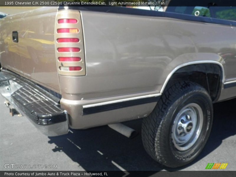 Light Autumnwood Metallic / Tan 1995 Chevrolet C/K 2500 C2500 Cheyenne Extended Cab