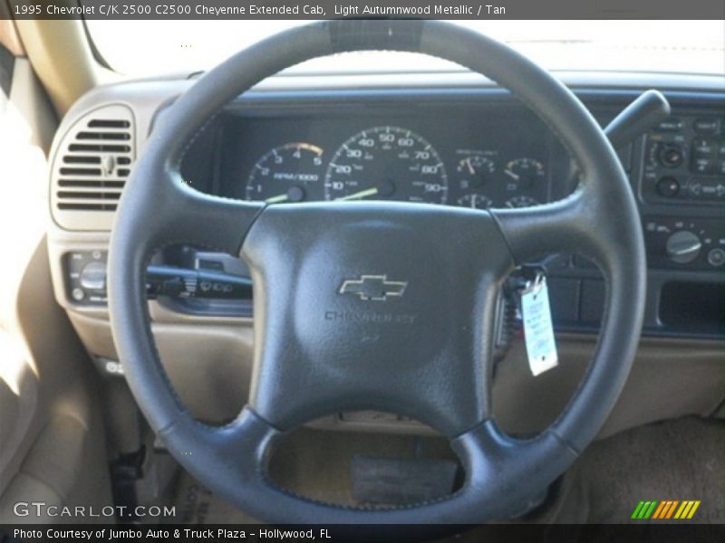Light Autumnwood Metallic / Tan 1995 Chevrolet C/K 2500 C2500 Cheyenne Extended Cab