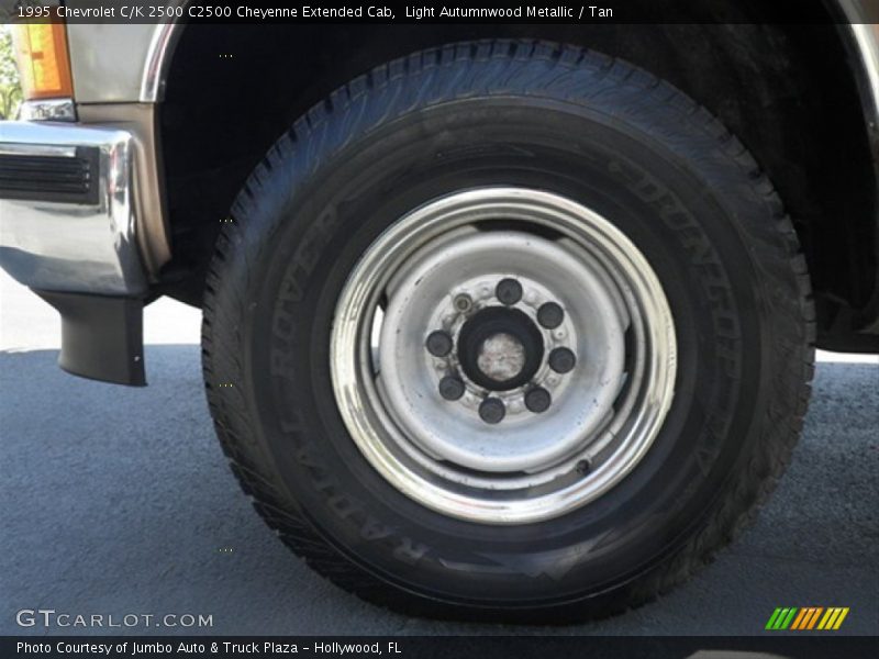 Light Autumnwood Metallic / Tan 1995 Chevrolet C/K 2500 C2500 Cheyenne Extended Cab