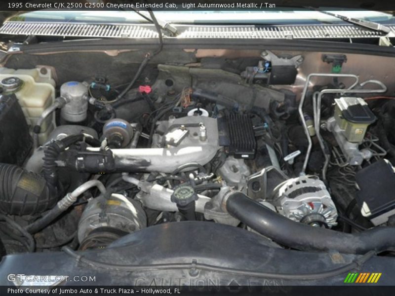 Light Autumnwood Metallic / Tan 1995 Chevrolet C/K 2500 C2500 Cheyenne Extended Cab
