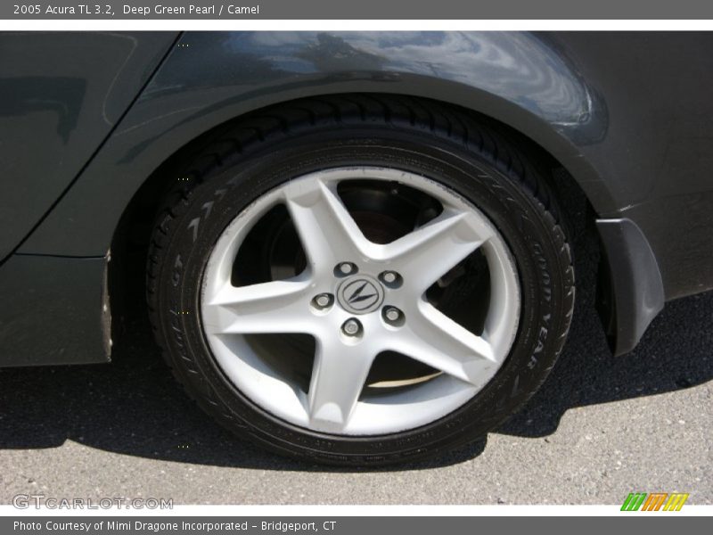 Deep Green Pearl / Camel 2005 Acura TL 3.2