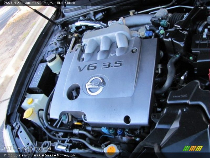 Majestic Blue / Black 2003 Nissan Maxima SE