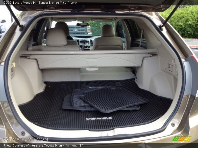 Sunset Bronze Mica / Ivory 2009 Toyota Venza I4