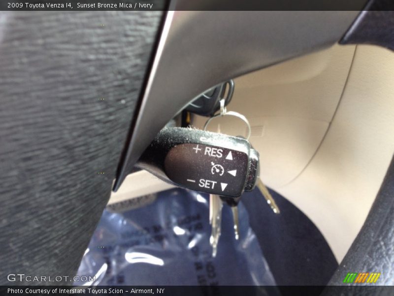 Sunset Bronze Mica / Ivory 2009 Toyota Venza I4
