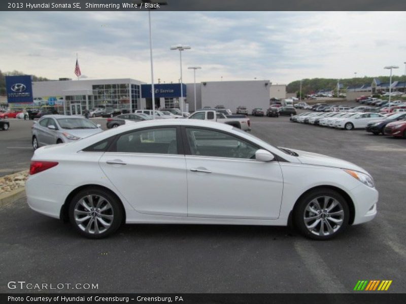 Shimmering White / Black 2013 Hyundai Sonata SE