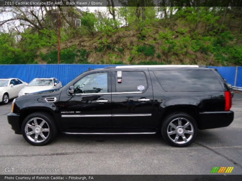Black Raven / Ebony 2010 Cadillac Escalade ESV AWD