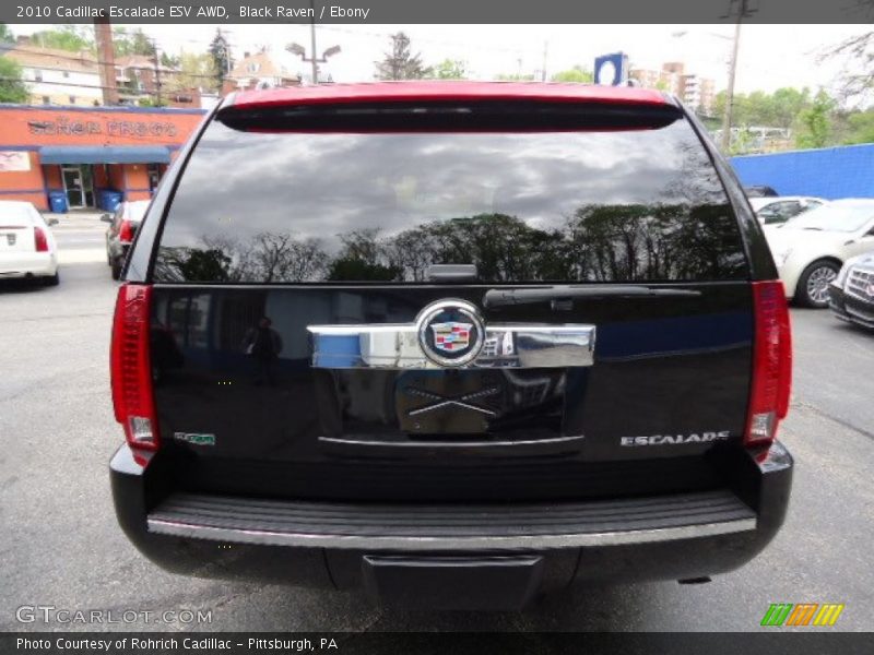 Black Raven / Ebony 2010 Cadillac Escalade ESV AWD