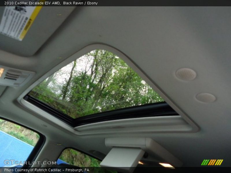 Black Raven / Ebony 2010 Cadillac Escalade ESV AWD