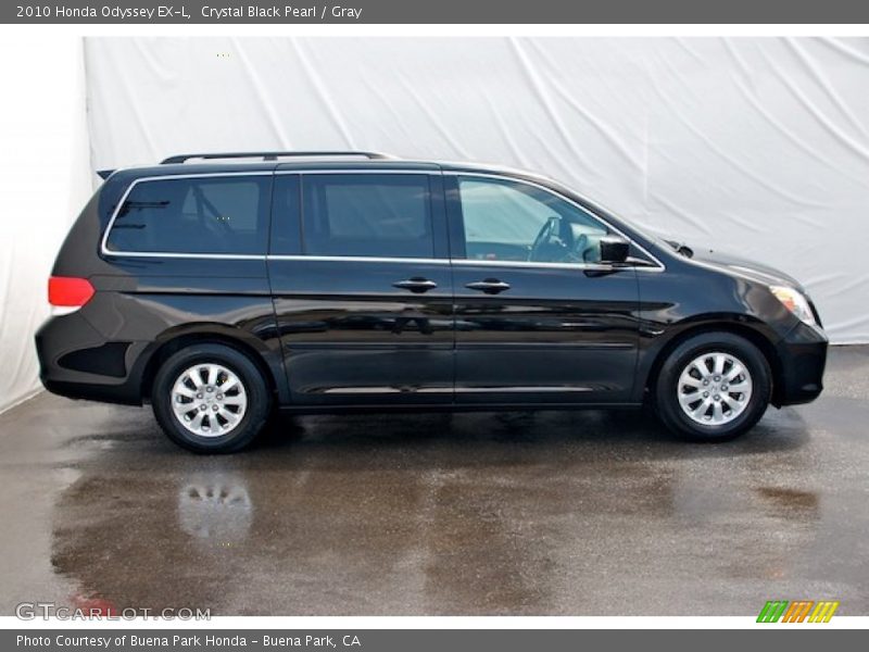 Crystal Black Pearl / Gray 2010 Honda Odyssey EX-L