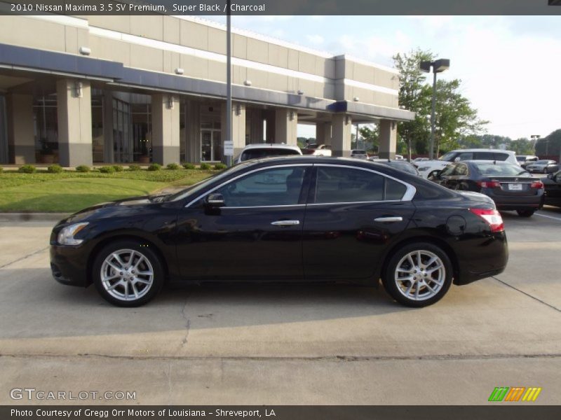 Super Black / Charcoal 2010 Nissan Maxima 3.5 SV Premium