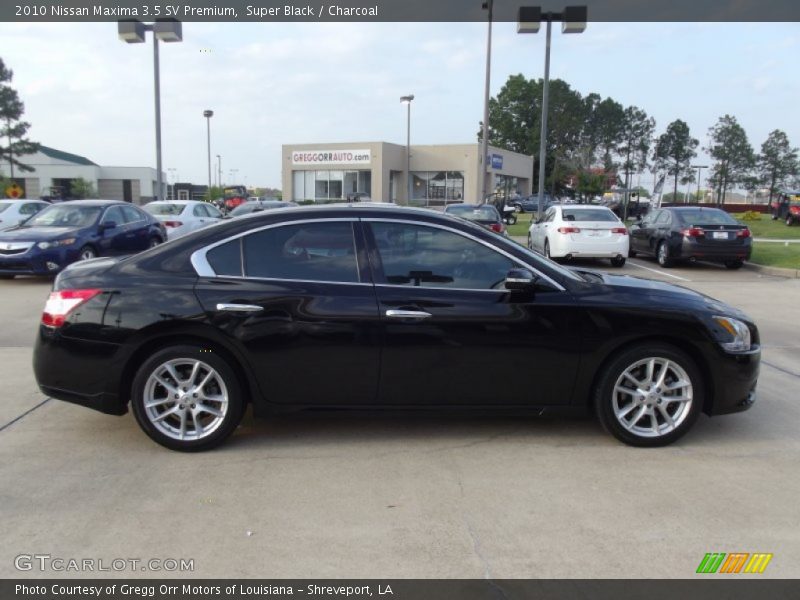 Super Black / Charcoal 2010 Nissan Maxima 3.5 SV Premium