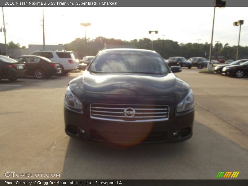 Super Black / Charcoal 2010 Nissan Maxima 3.5 SV Premium