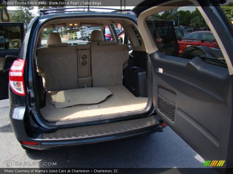 Black Forest Pearl / Sand Beige 2009 Toyota RAV4 4WD