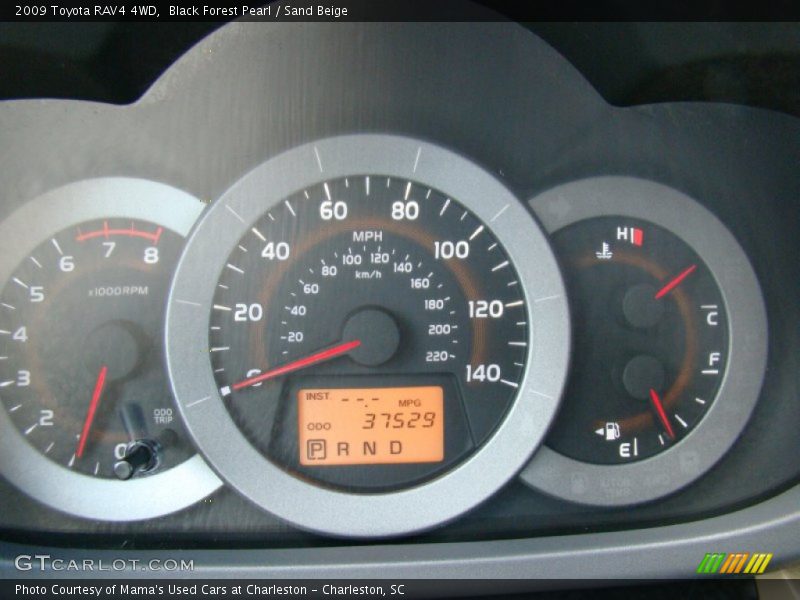 Black Forest Pearl / Sand Beige 2009 Toyota RAV4 4WD