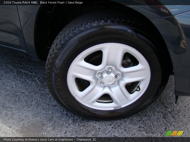 Black Forest Pearl / Sand Beige 2009 Toyota RAV4 4WD