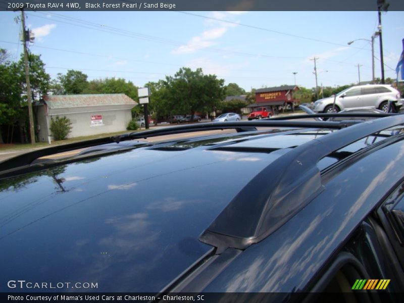 Black Forest Pearl / Sand Beige 2009 Toyota RAV4 4WD
