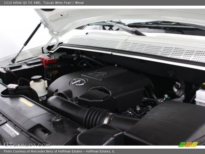 Tuscan White Pearl / Wheat 2010 Infiniti QX 56 4WD