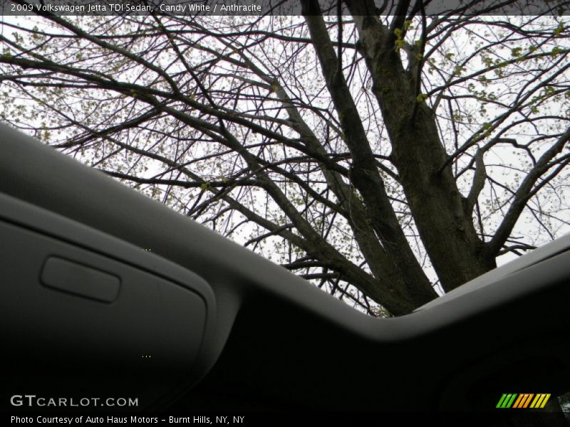 Candy White / Anthracite 2009 Volkswagen Jetta TDI Sedan