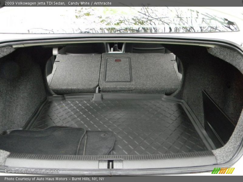 Candy White / Anthracite 2009 Volkswagen Jetta TDI Sedan