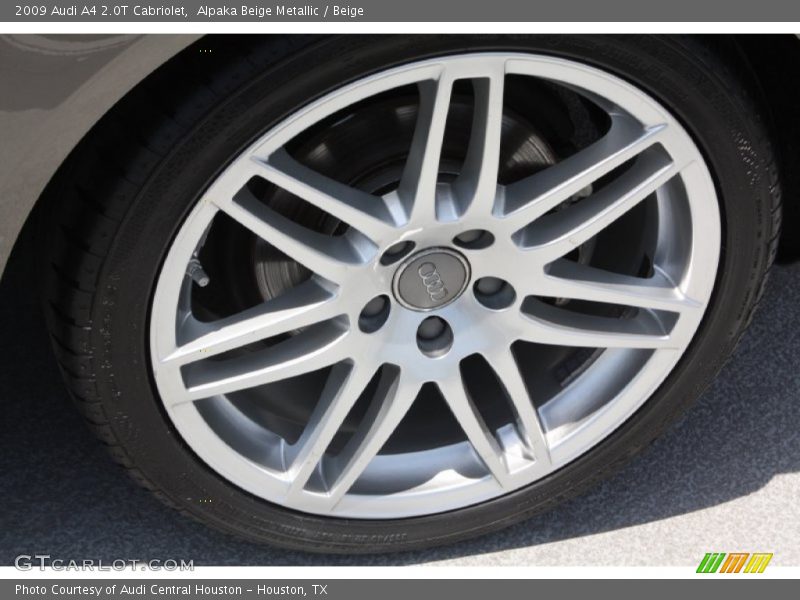 Alpaka Beige Metallic / Beige 2009 Audi A4 2.0T Cabriolet