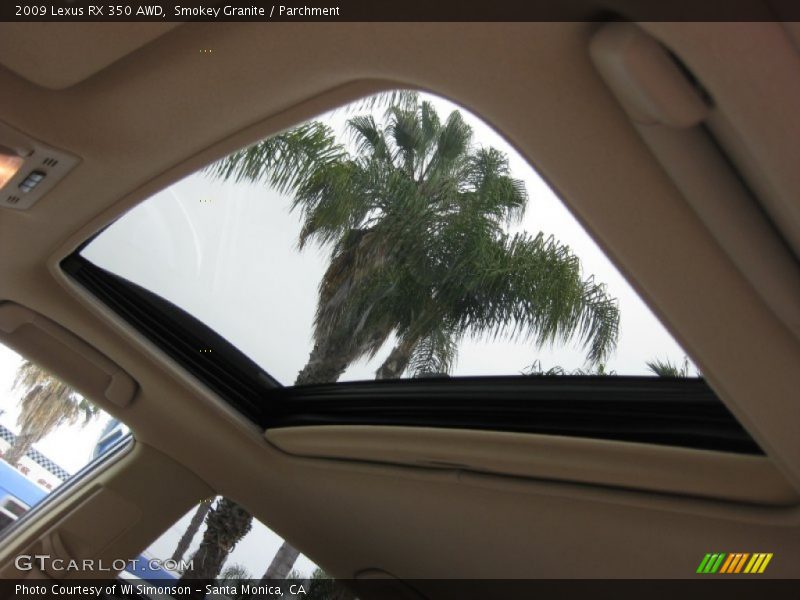 Smokey Granite / Parchment 2009 Lexus RX 350 AWD