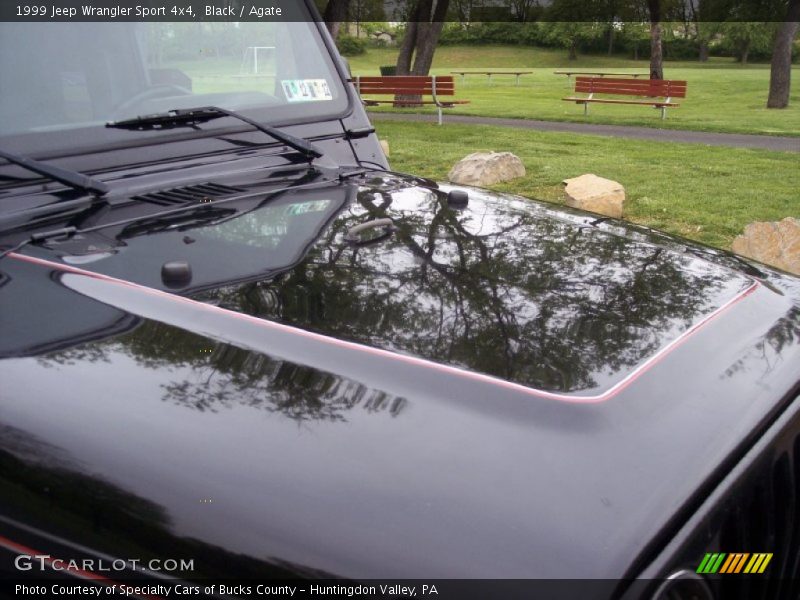Black / Agate 1999 Jeep Wrangler Sport 4x4