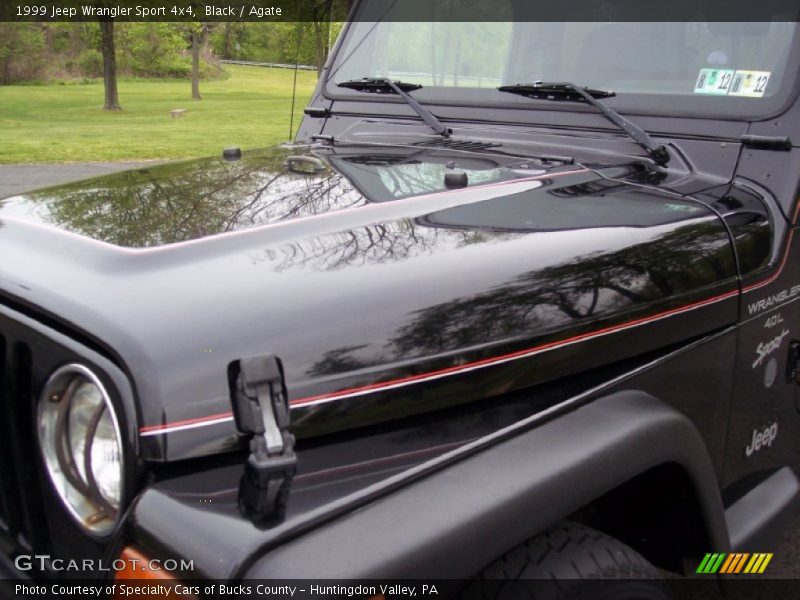 Black / Agate 1999 Jeep Wrangler Sport 4x4