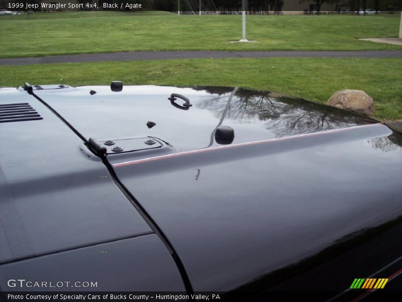 Black / Agate 1999 Jeep Wrangler Sport 4x4