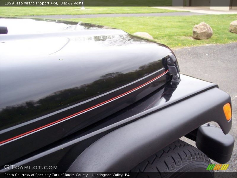 Black / Agate 1999 Jeep Wrangler Sport 4x4