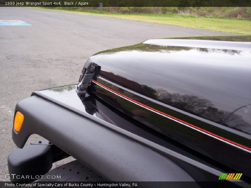 Black / Agate 1999 Jeep Wrangler Sport 4x4