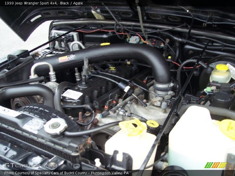 Black / Agate 1999 Jeep Wrangler Sport 4x4