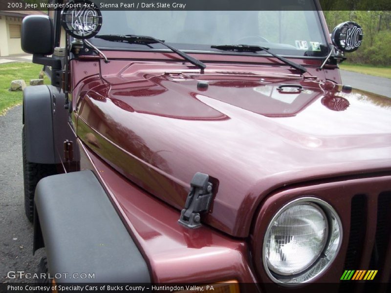 Sienna Pearl / Dark Slate Gray 2003 Jeep Wrangler Sport 4x4