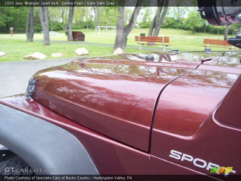 Sienna Pearl / Dark Slate Gray 2003 Jeep Wrangler Sport 4x4