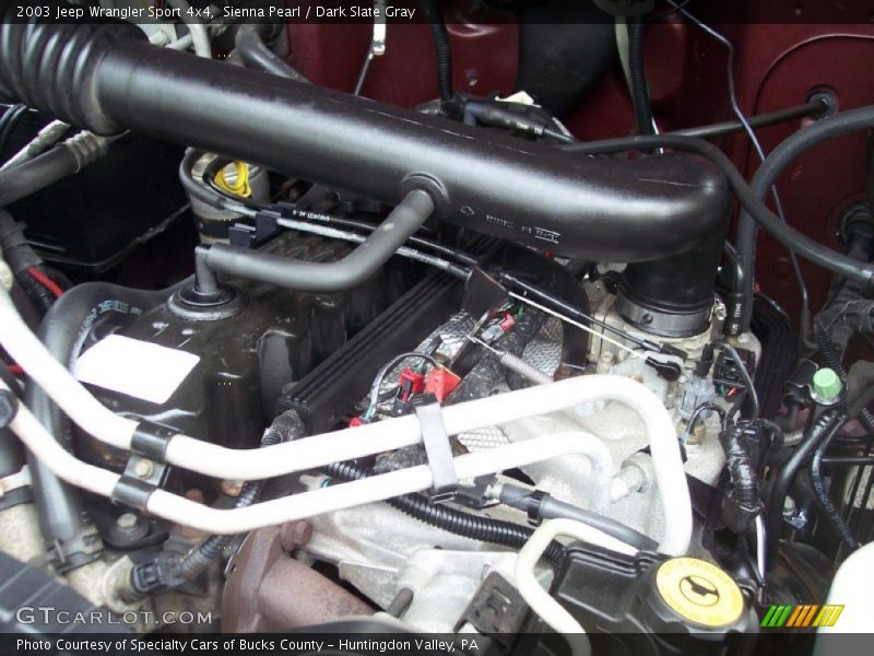 Sienna Pearl / Dark Slate Gray 2003 Jeep Wrangler Sport 4x4