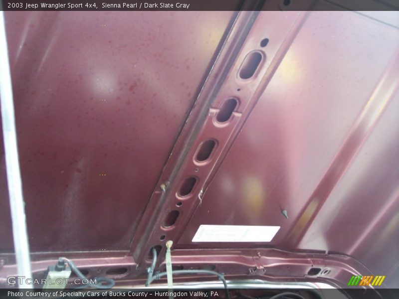 Sienna Pearl / Dark Slate Gray 2003 Jeep Wrangler Sport 4x4